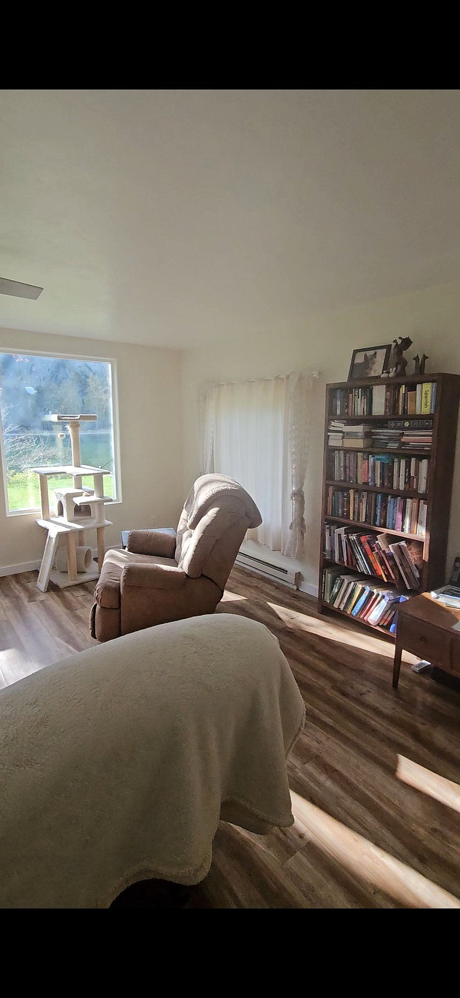 Furnished Finder property 442304_1 photo 22