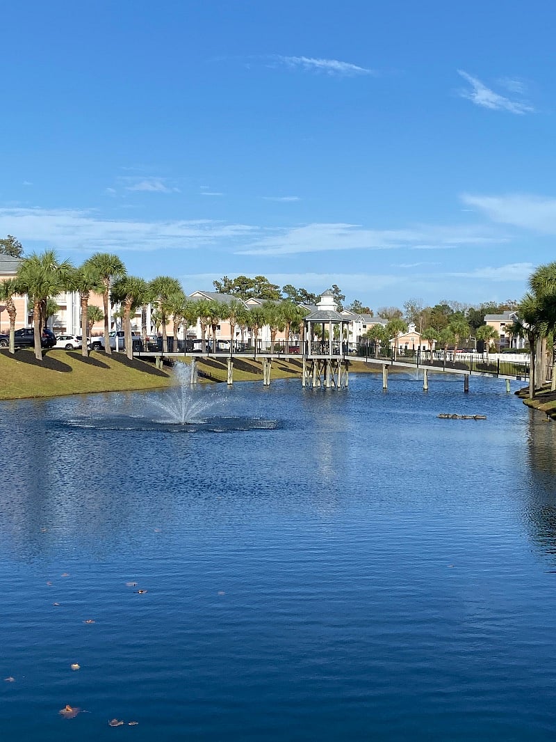Furnished Finder property 442581_1 photo 22