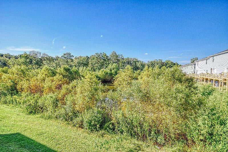 Furnished Finder property 442583_1 photo 19