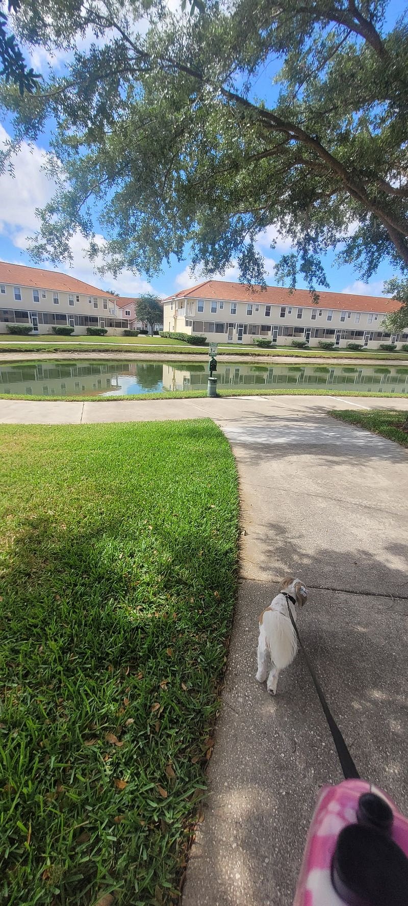 Furnished Finder property 442599_1 photo 28