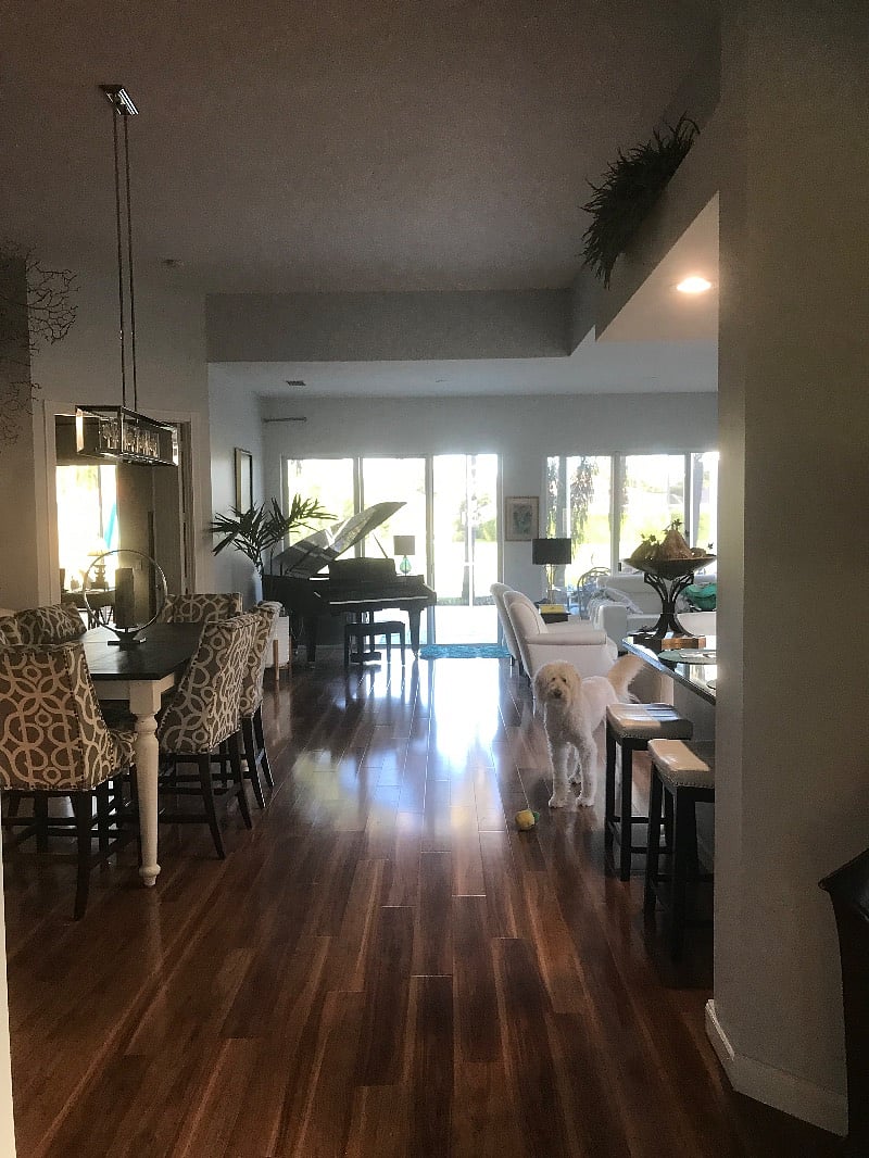 Furnished Finder property 442787_1 photo 16