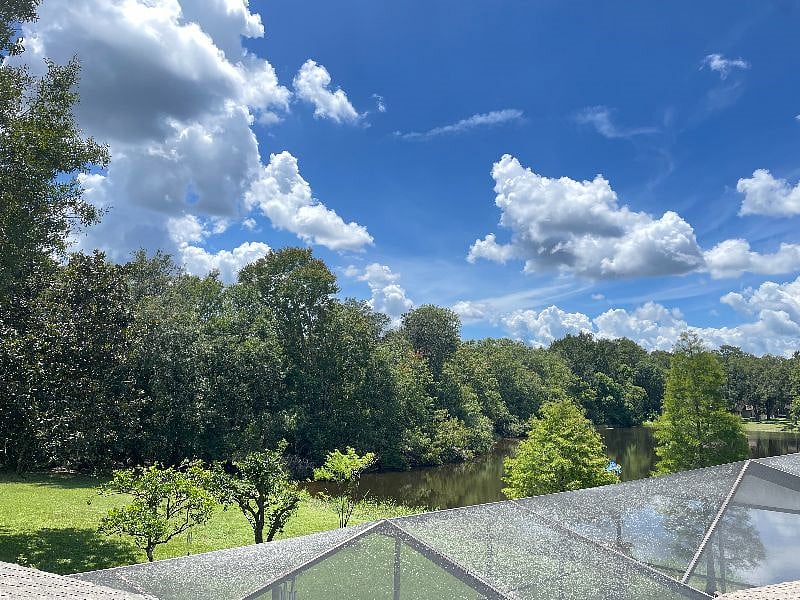 Living room window overlooks nature preserve and patio.
