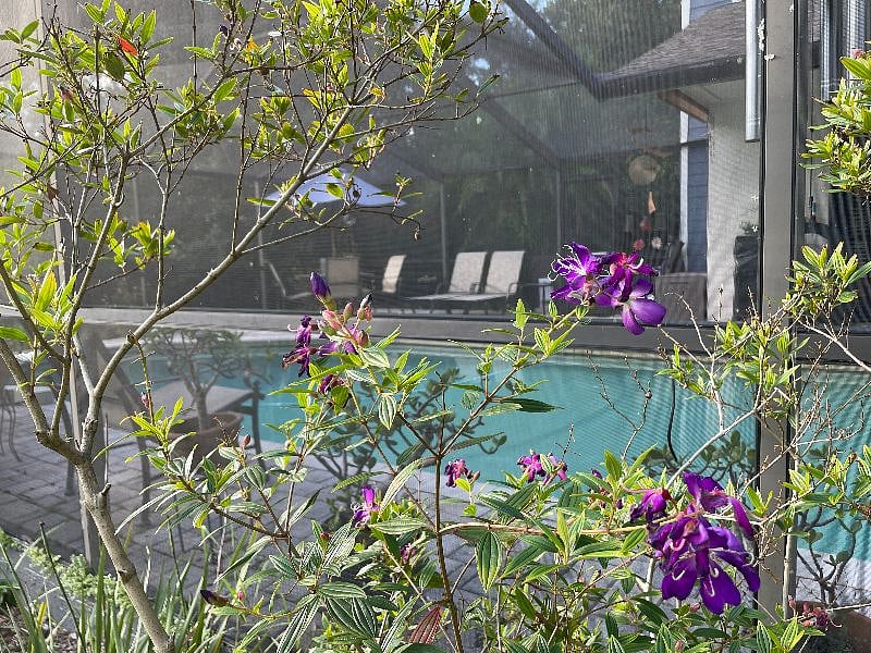Furnished Finder property 442819_1 photo 45