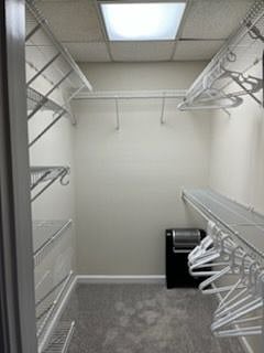 Large walk-in closet, iron, ironing board, extra towels and vacuum