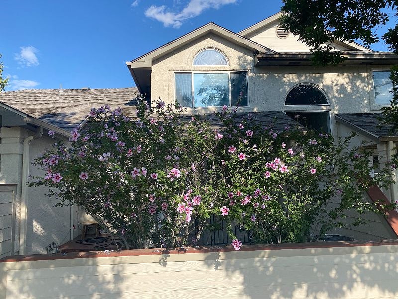 Furnished Finder property 443168_1 photo 12