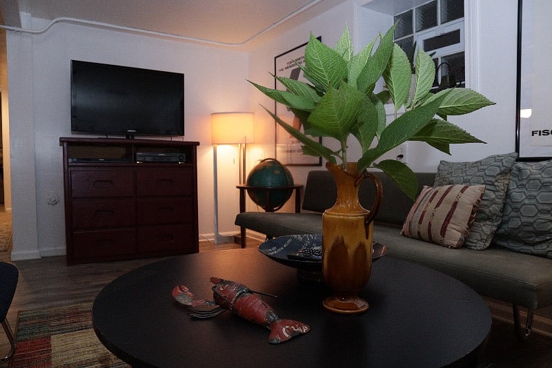 Furnished Finder property 443239_1 photo 3