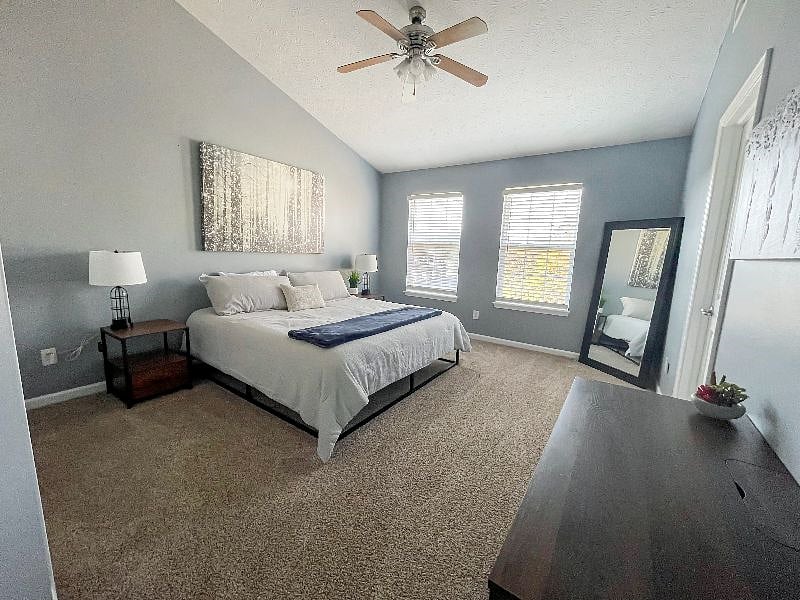 Furnished Finder property 443590_1 photo 16