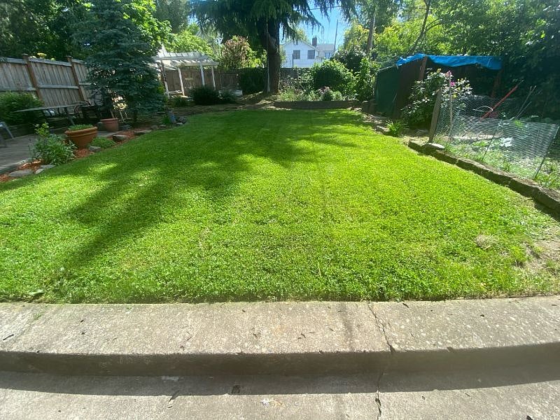 Relax in backyard