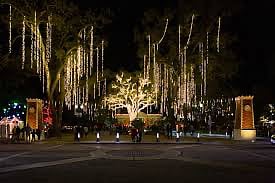Downtown City Park at night--only 5 minute walk from the house. Be sure to experience the lights!