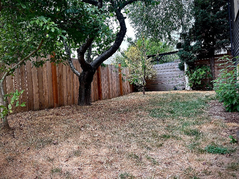 Fenced in yard - great for your kiddos and doggos!