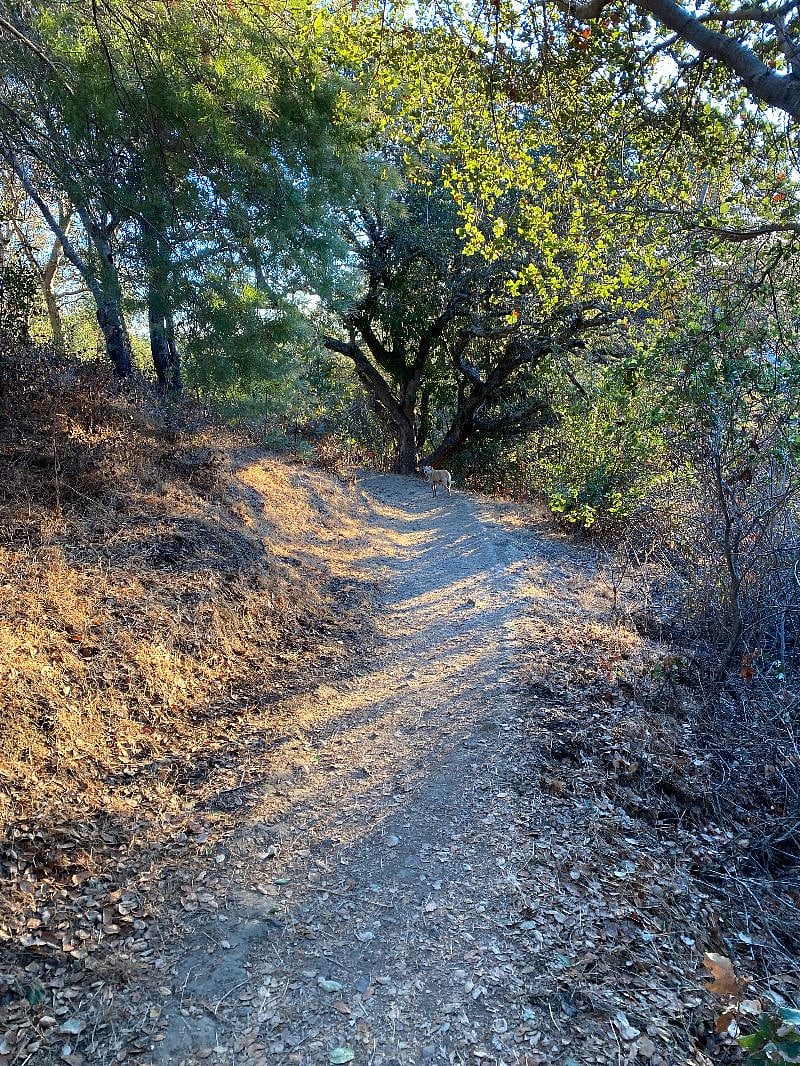 Mills Canyon is a 45 minute hiking loop approximately 1 mile from the property.