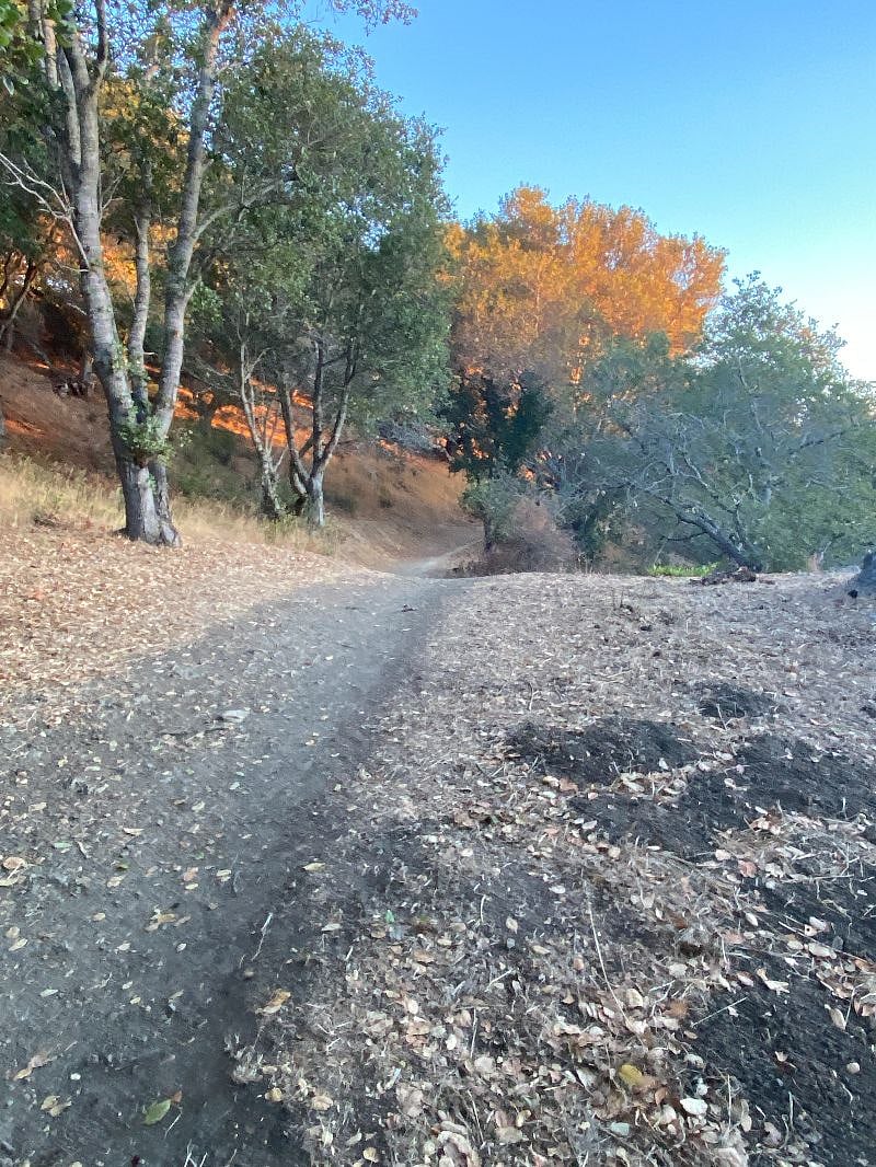 Mills Canyon is a 45 minute hiking loop approximately 1 mile from the property.