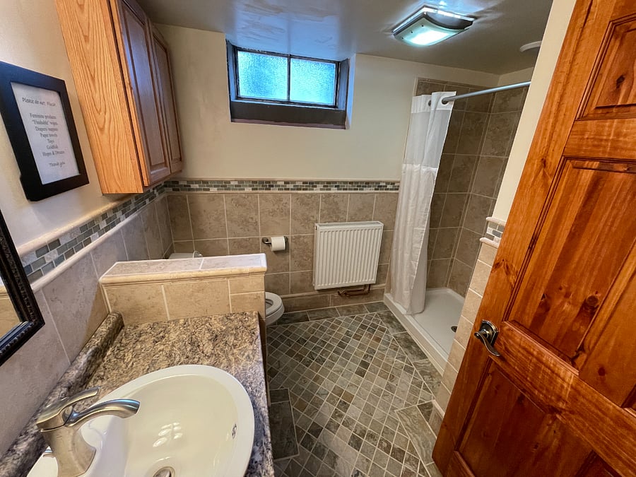 Lower Level Bathroom