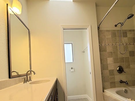 Main suite private bath with skylight.