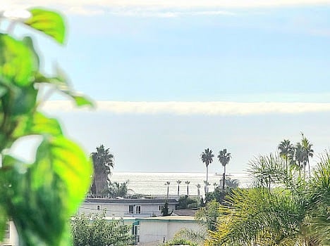 Rooftop ocean views.