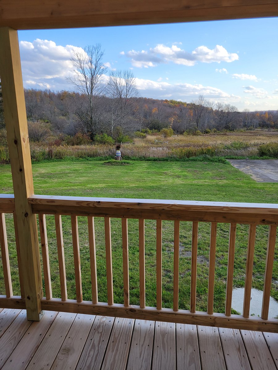 Furnished Finder property 444858_1 photo 12