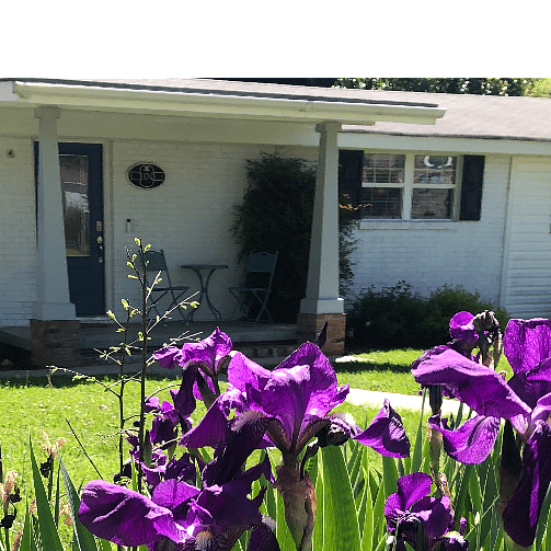 Furnished Finder property 444957_1 photo 33