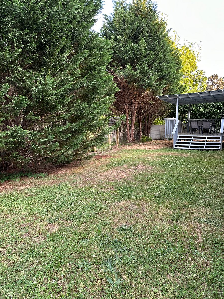 Furnished Finder property 444957_1 photo 36