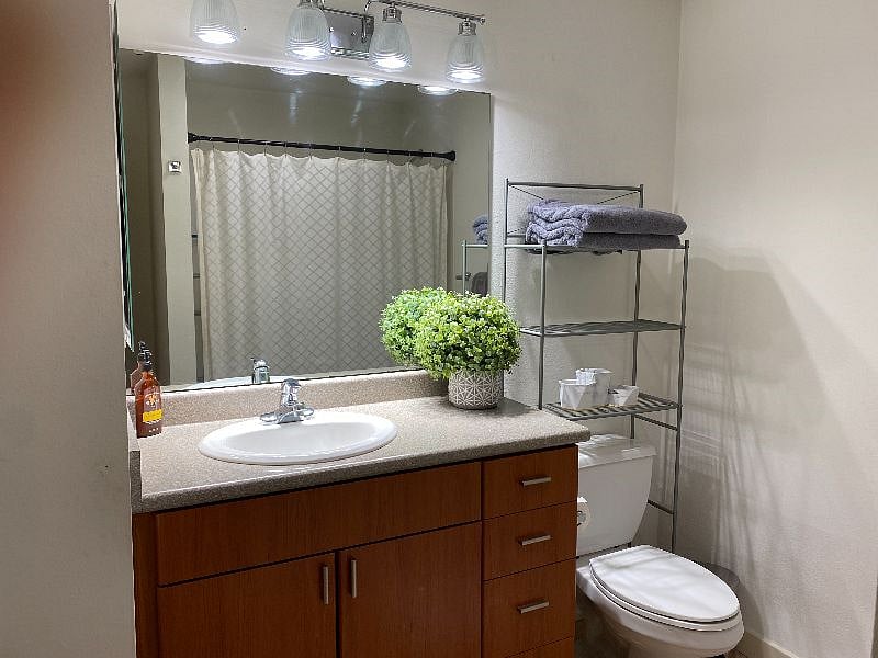 Furnished Finder property 445084_1 photo 12