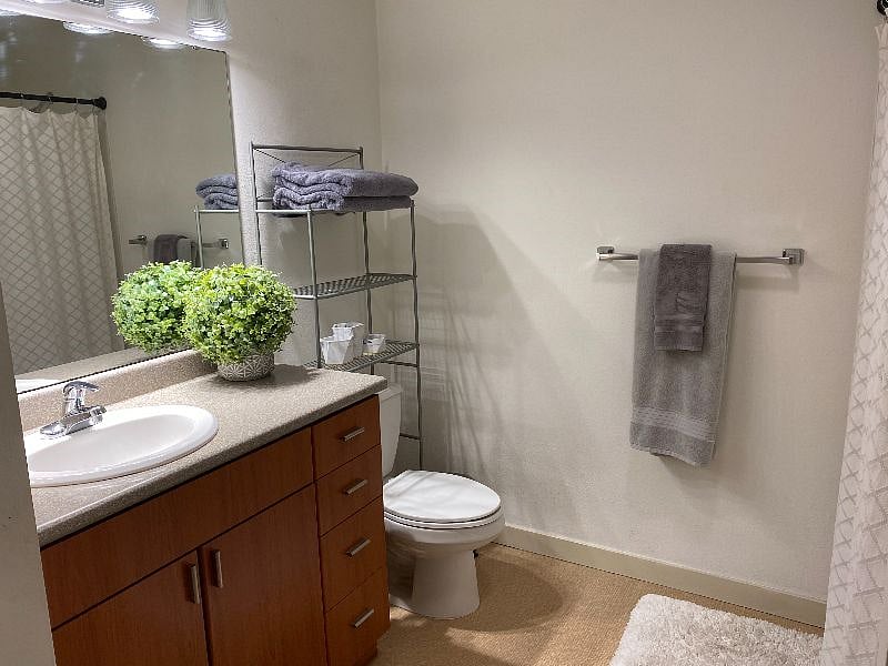 Furnished Finder property 445084_1 photo 13