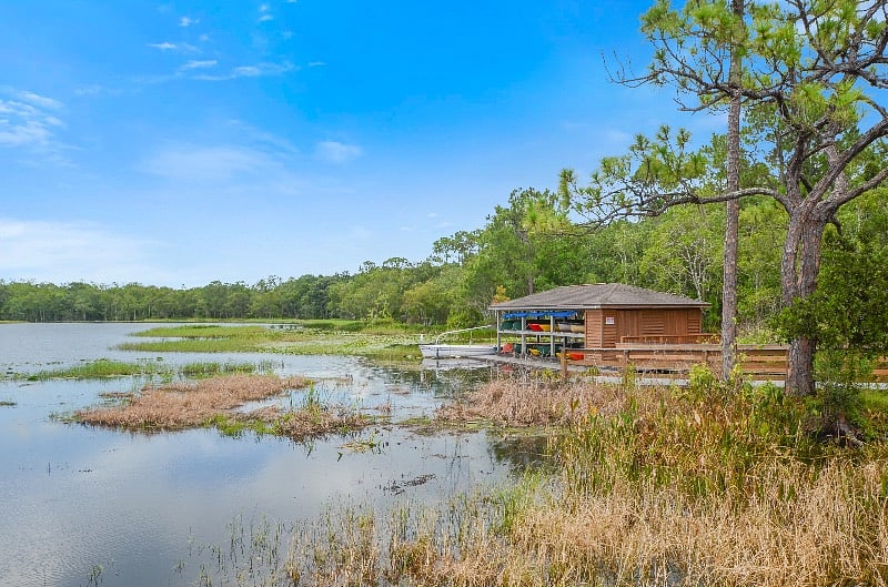Furnished Finder property 445156_1 photo 12