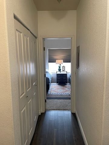 Furnished Finder property 445314_1 photo 17