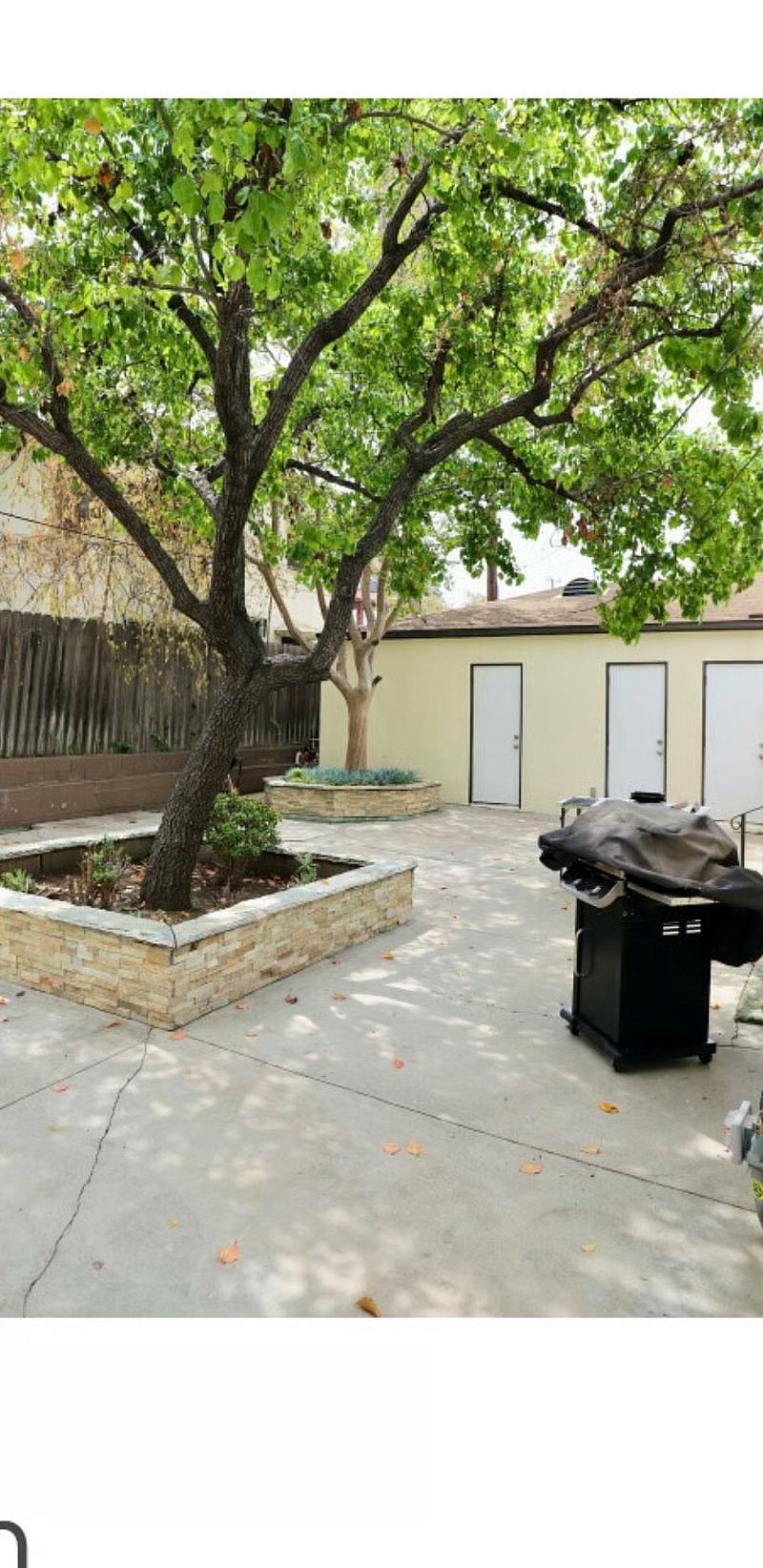 Furnished Finder property 445403_2 photo 12