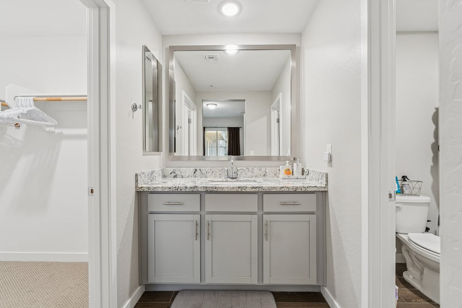Primary bathroom
