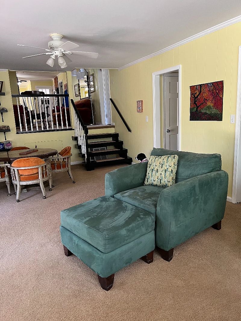 Furnished Finder property 445453_1 photo 7