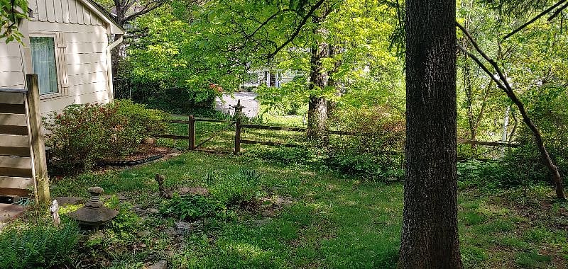 Furnished Finder property 445582_1 photo 22