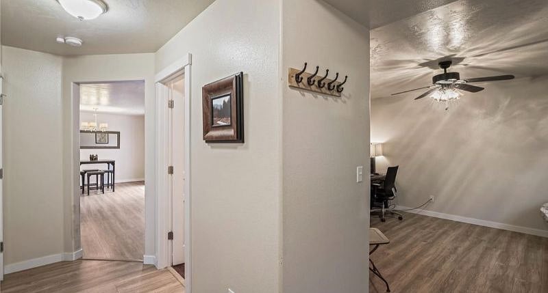 Furnished Finder property 445680_1 photo 12