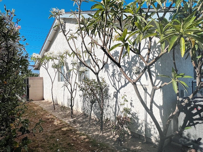 Furnished Finder property 445686_1 photo 9