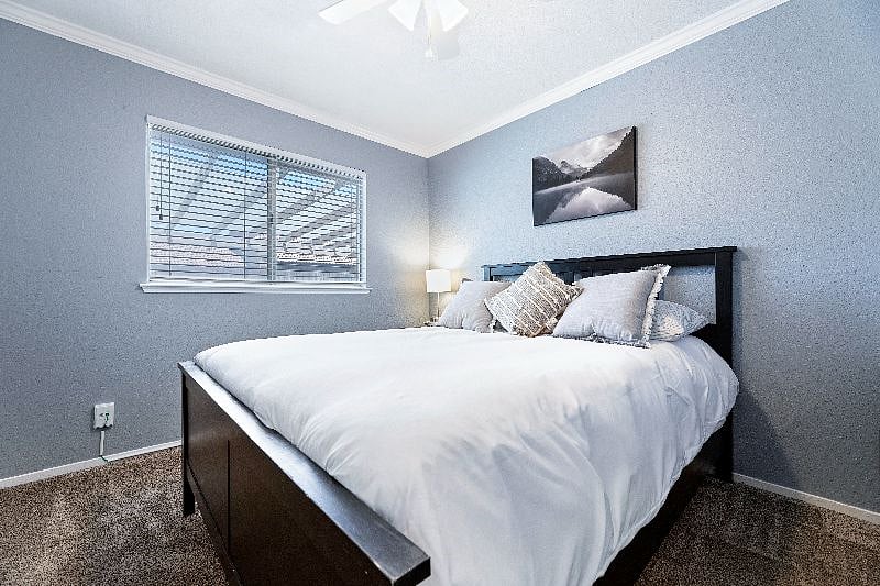 Furnished Finder property 445828_1 photo 3