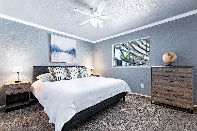 Furnished Finder property 445828_1 photo 9