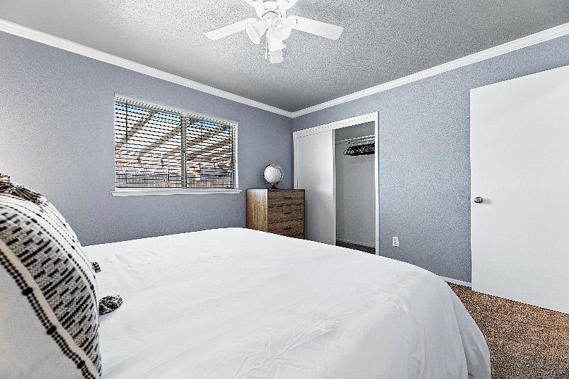 Furnished Finder property 445828_1 photo 10