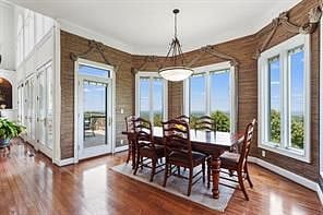 Furnished Finder property 446045_1 photo 11