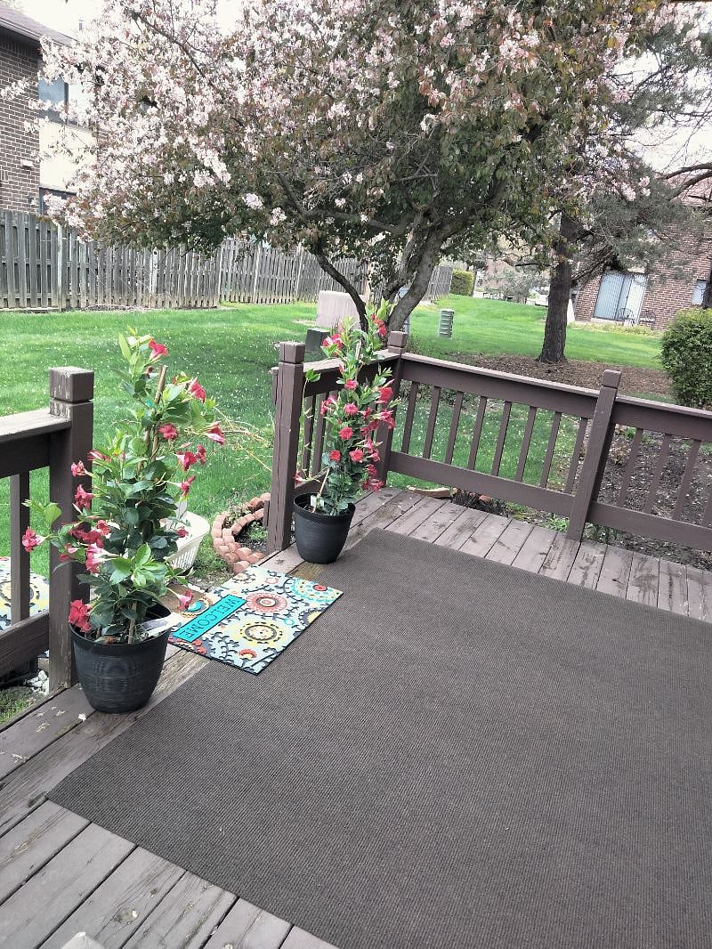 Furnished Finder property 446047_1 photo 14