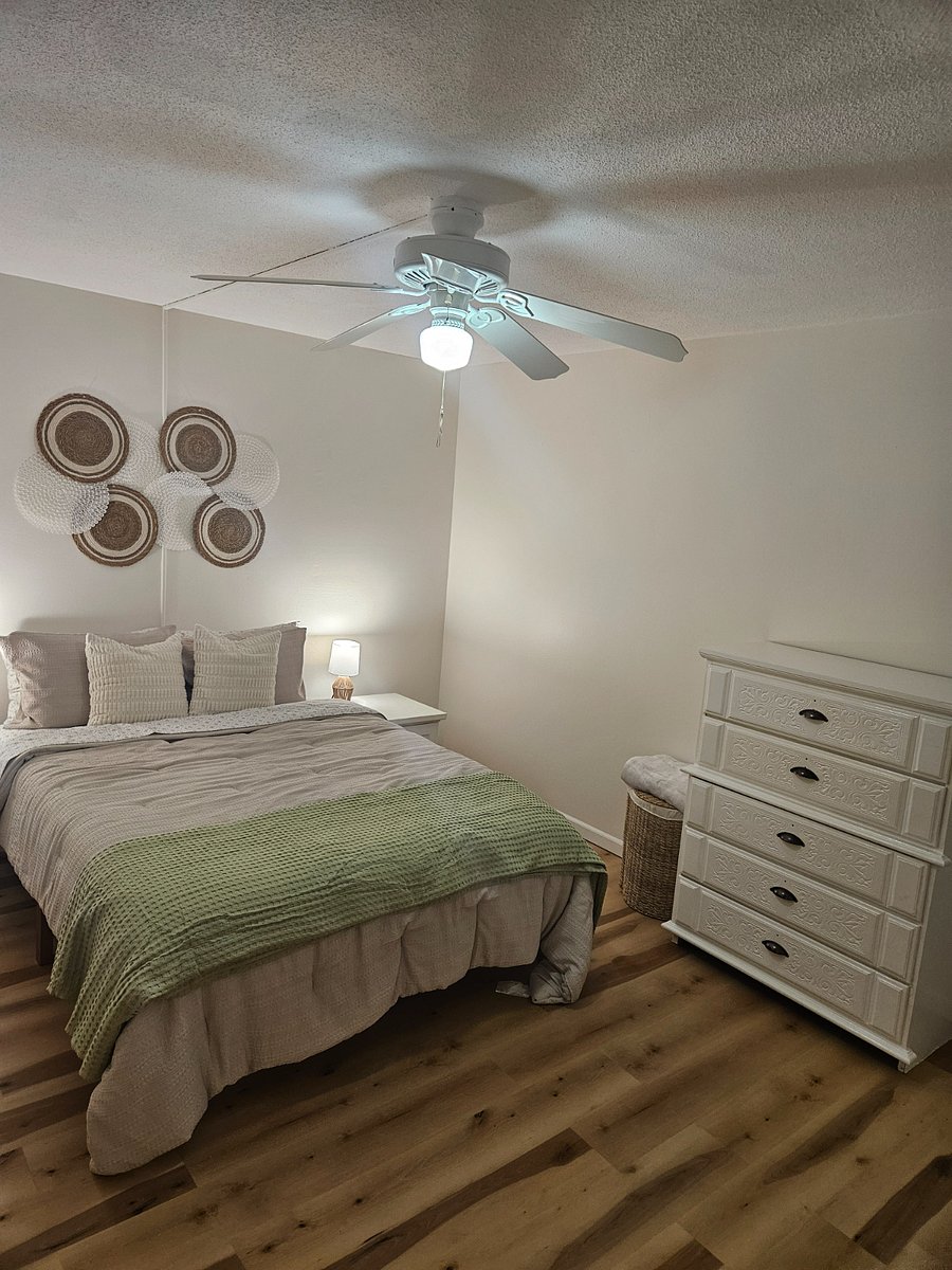 Furnished Finder property 446047_1 photo 25