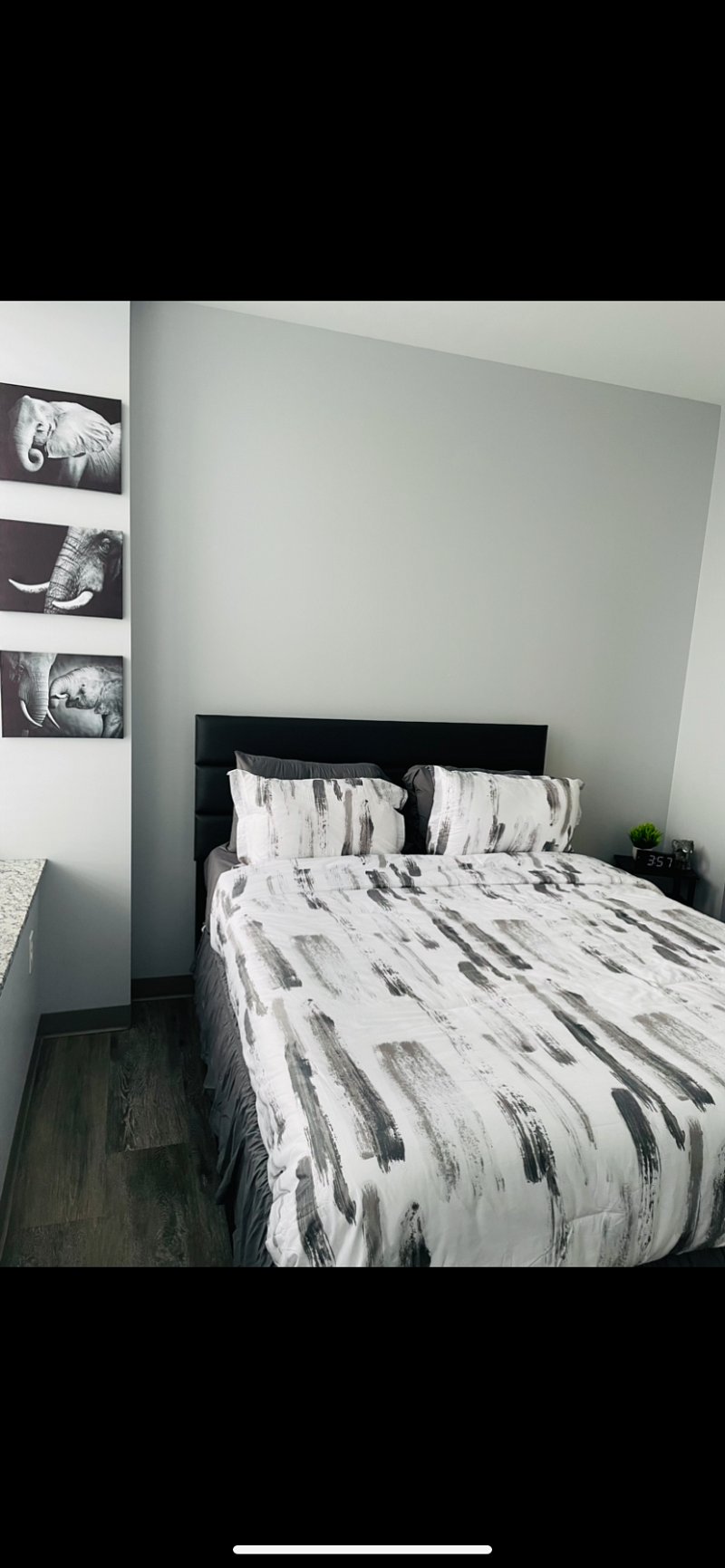 Furnished Finder property 446147_1 photo 3