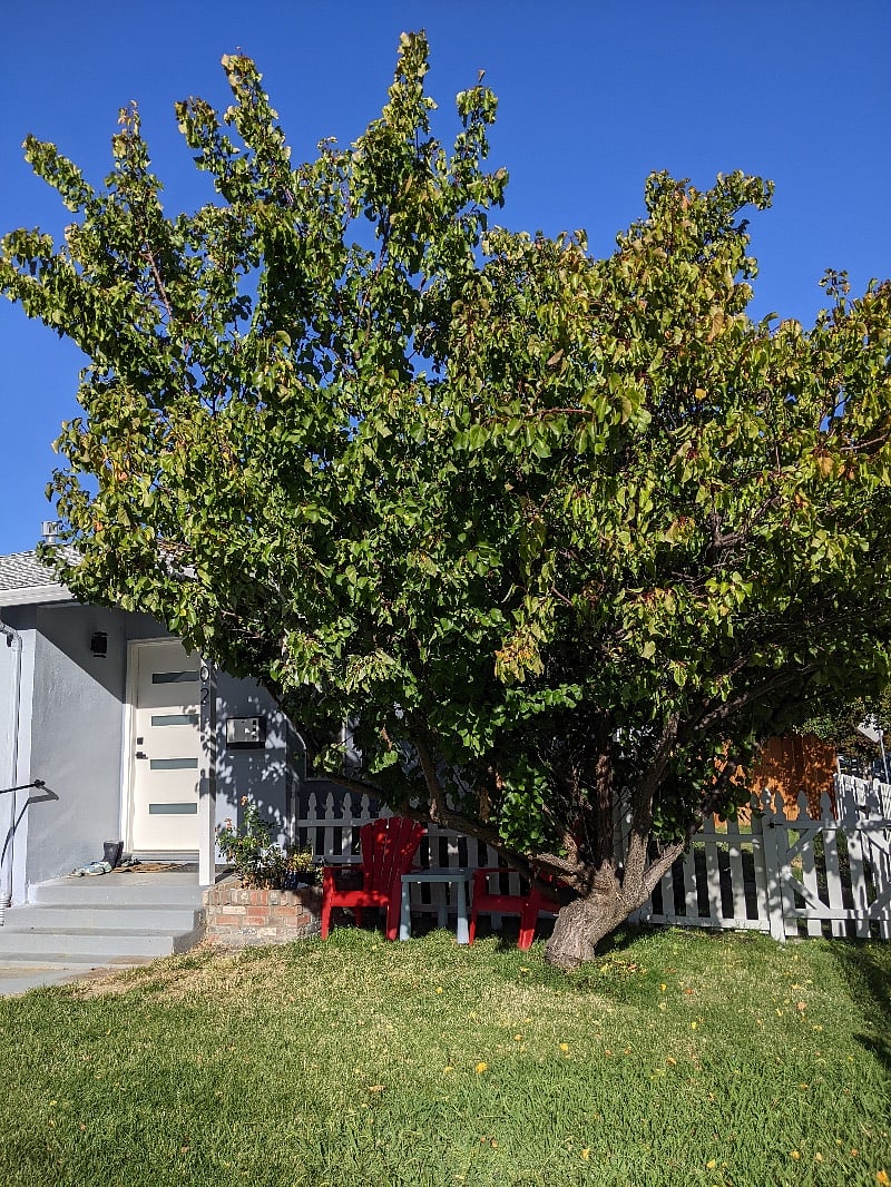 Furnished Finder property 446304_2 photo 23