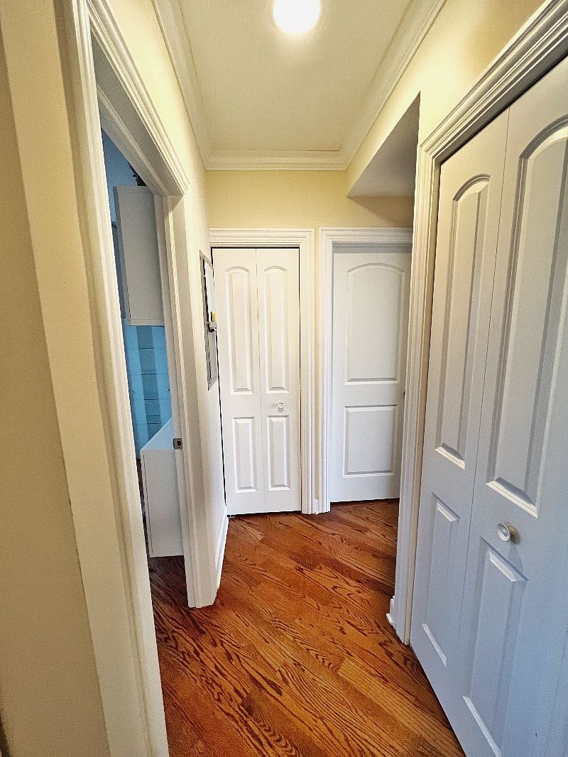 Furnished Finder property 446393_1 photo 15