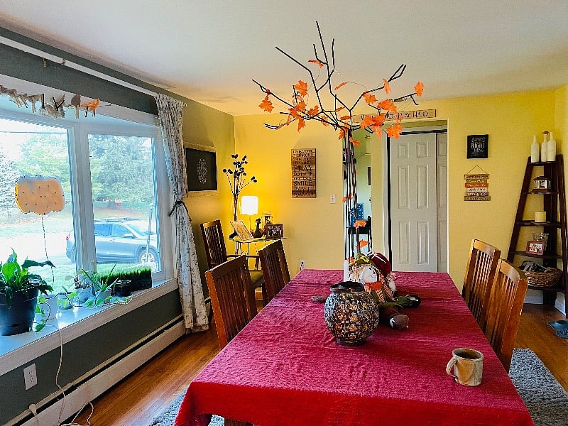 Furnished Finder property 446475_1 photo 11