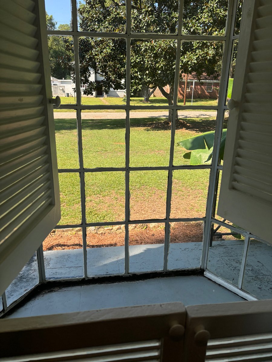 Furnished Finder property 446498_1 photo 27