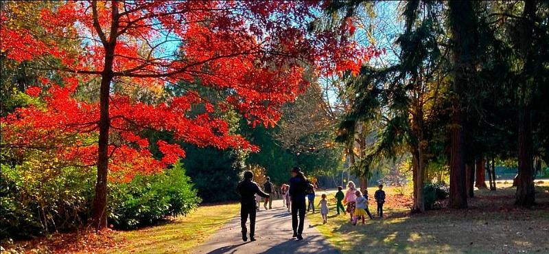 Take a stroll at North SeaTac park, a 1-minute walk from the home.