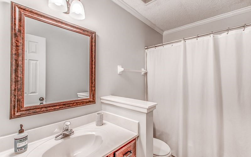 Furnished Finder property 446832_1 photo 16