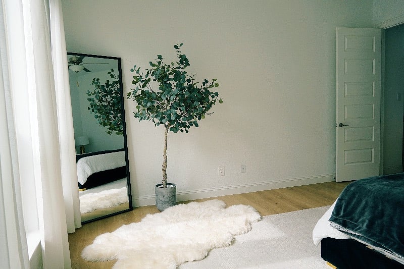 Furnished Finder property 446838_1 photo 14