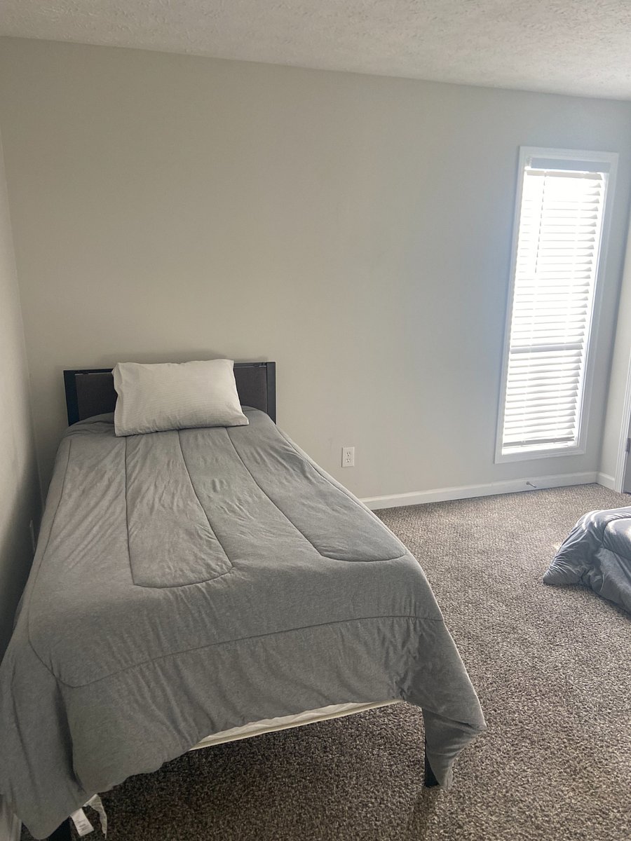 Furnished Finder property 446852_1 photo 26