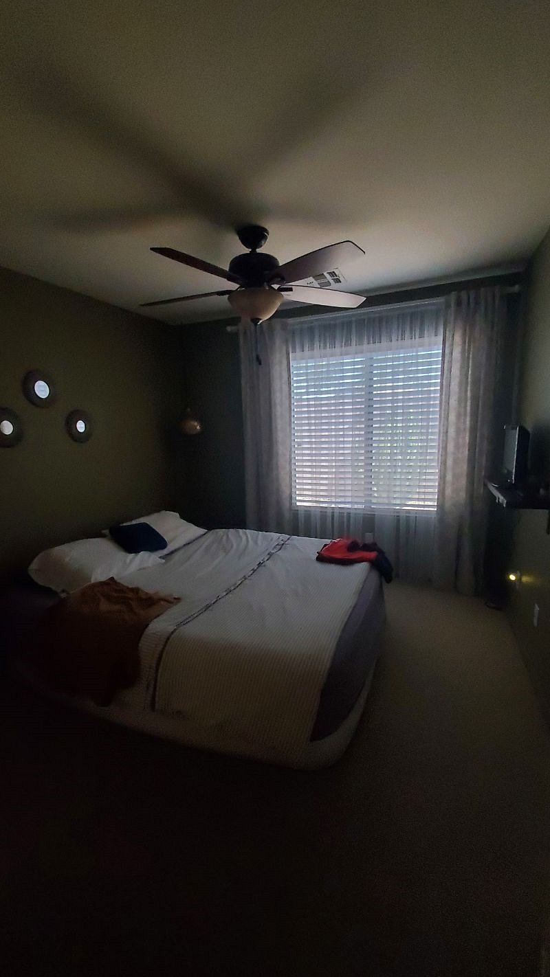 Furnished Finder property 446951_1 photo 16
