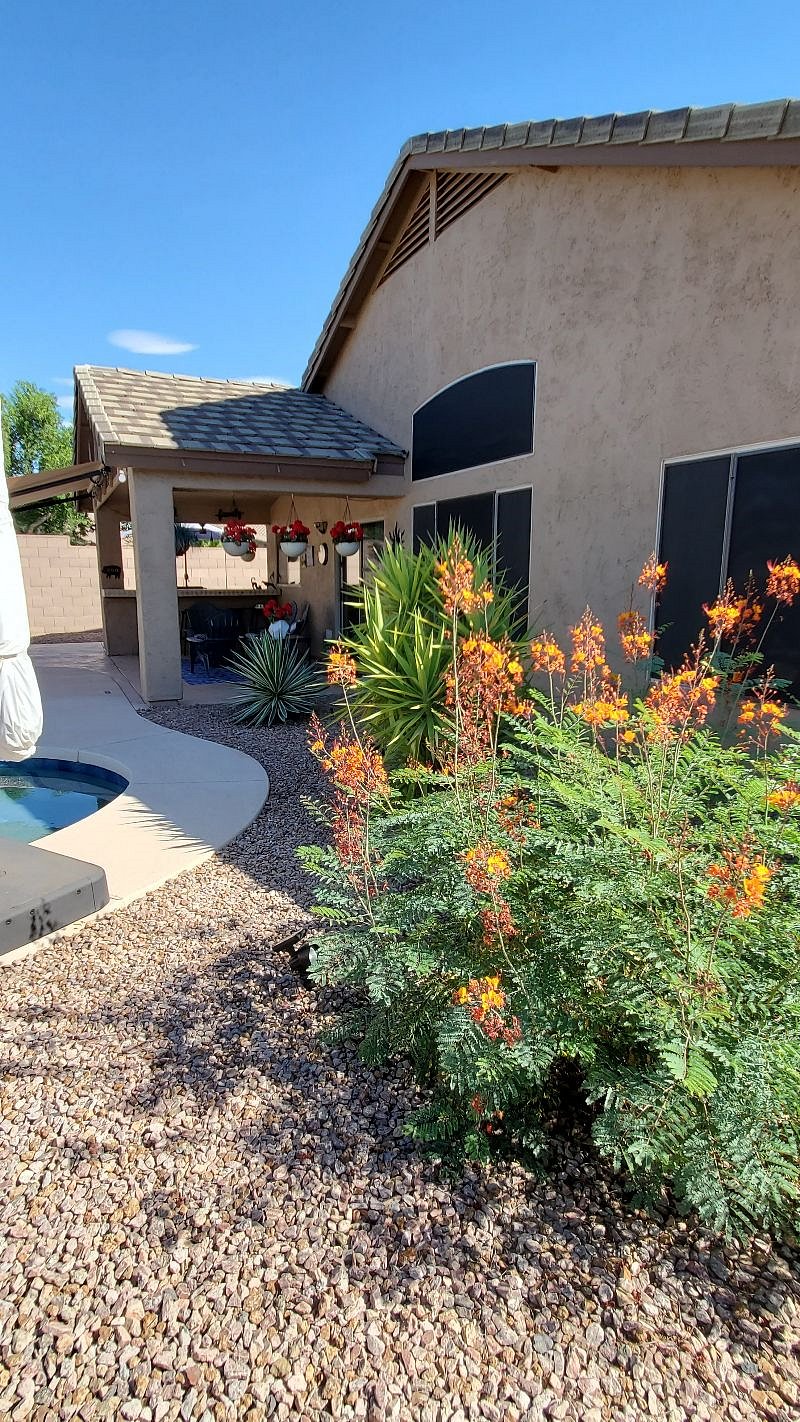 Furnished Finder property 446951_1 photo 41