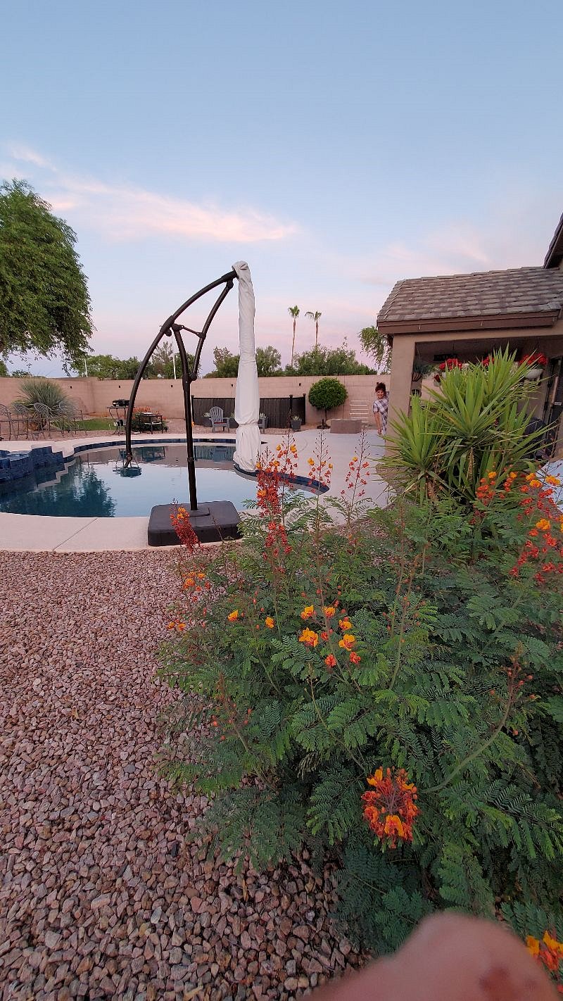 Furnished Finder property 446951_1 photo 50